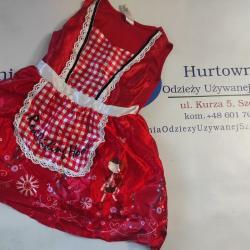 odziez-robocza-karnawal-12